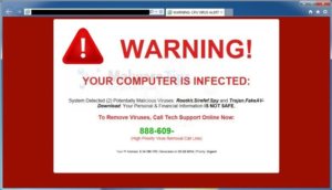 Picture of virus scam on browser